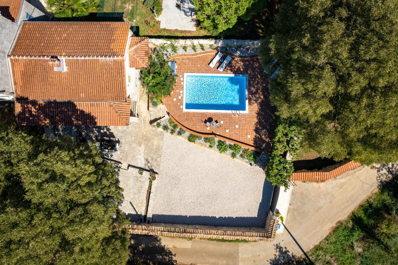 Villa Arboretum Poreč Eksteriør billede